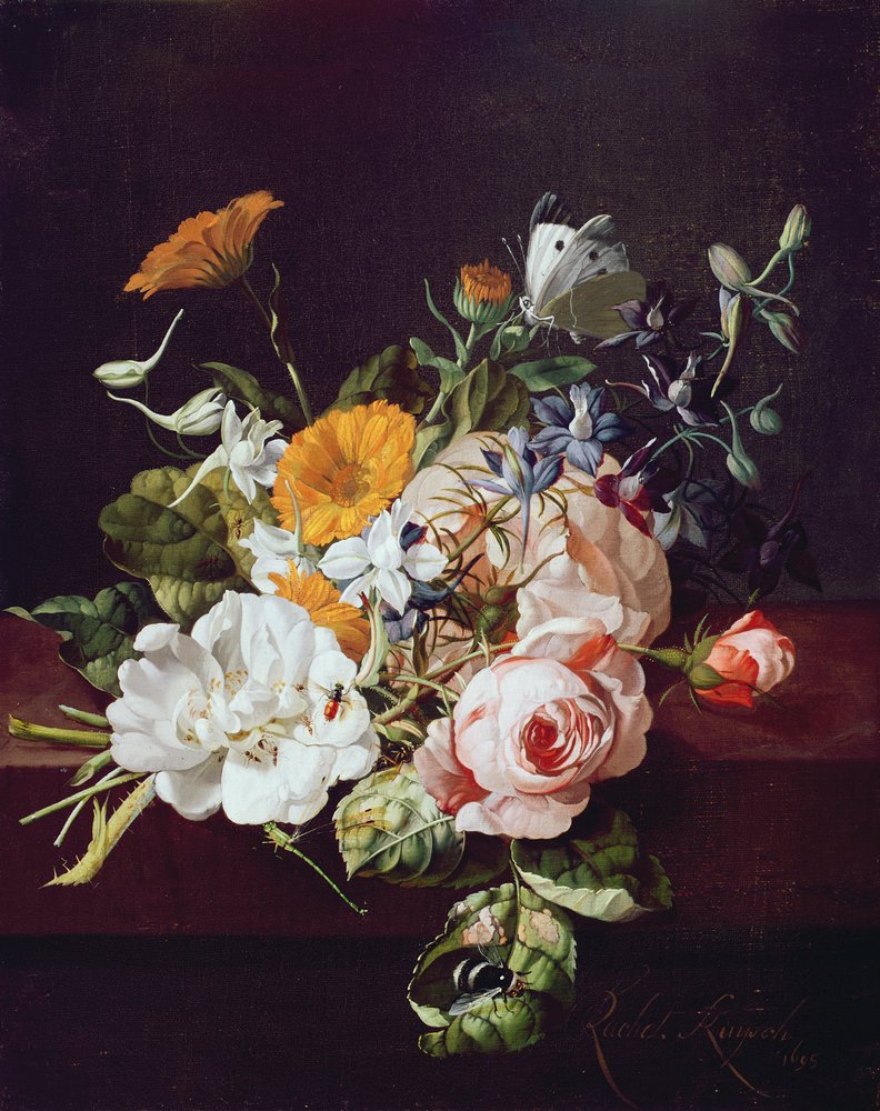 花瓶、1695 | ラッヘル・ライス